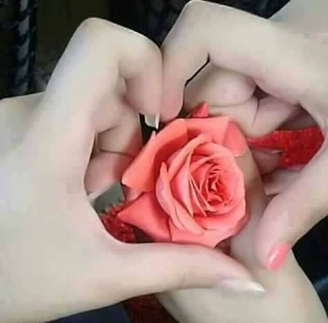 LYUkYOuaG0gj1PkIcFQSHYQQVWA7RCvermNA0fT-wupCtw9pEcEyl_5Py2oKmWBE.jpg
